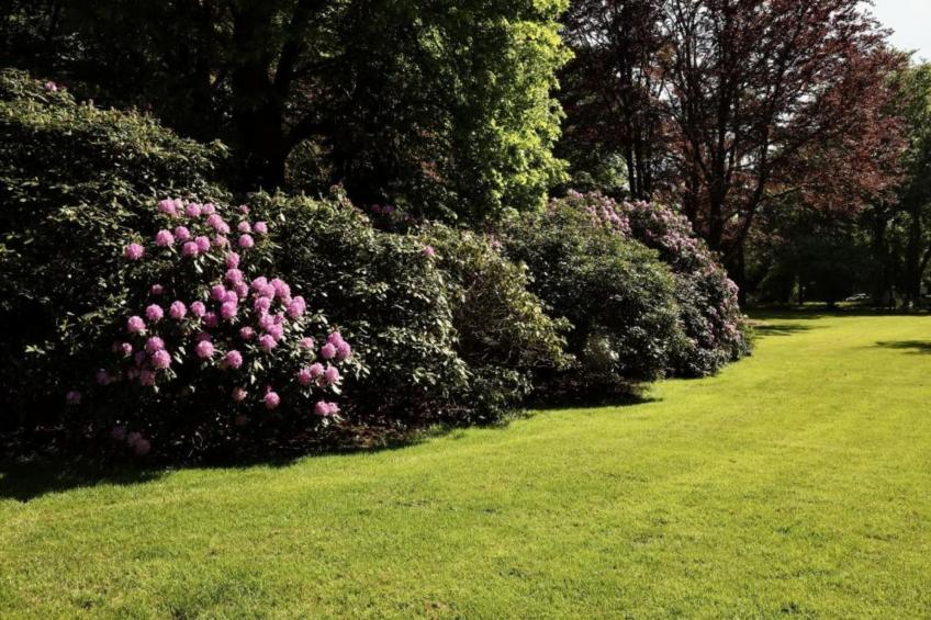 Vakantiepark De Lochemse Berg 1 - foto 40