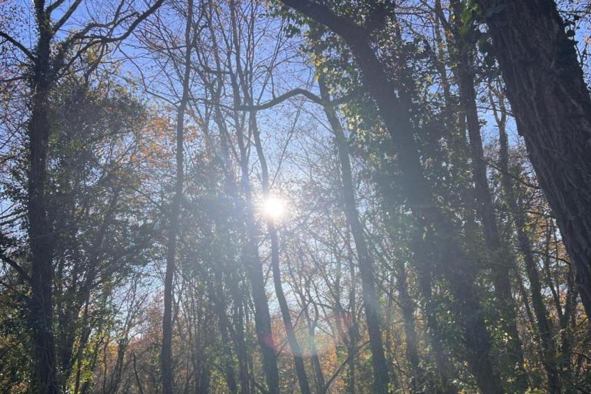 Les Côteaux de Sarlat - foto 30