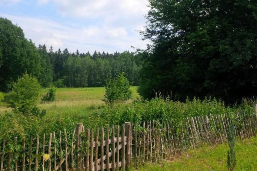 Nasze Chabazie - foto 32