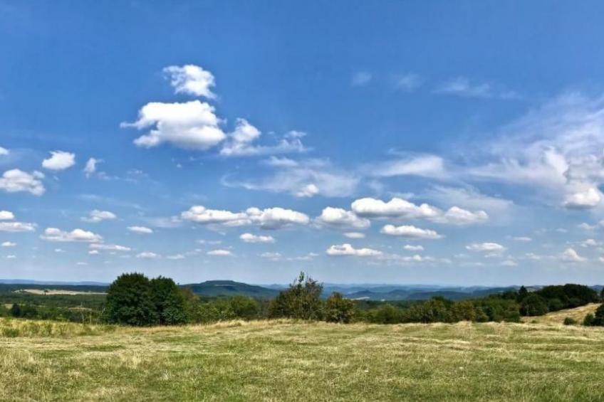 Fewo Natur und Kunst - foto 43