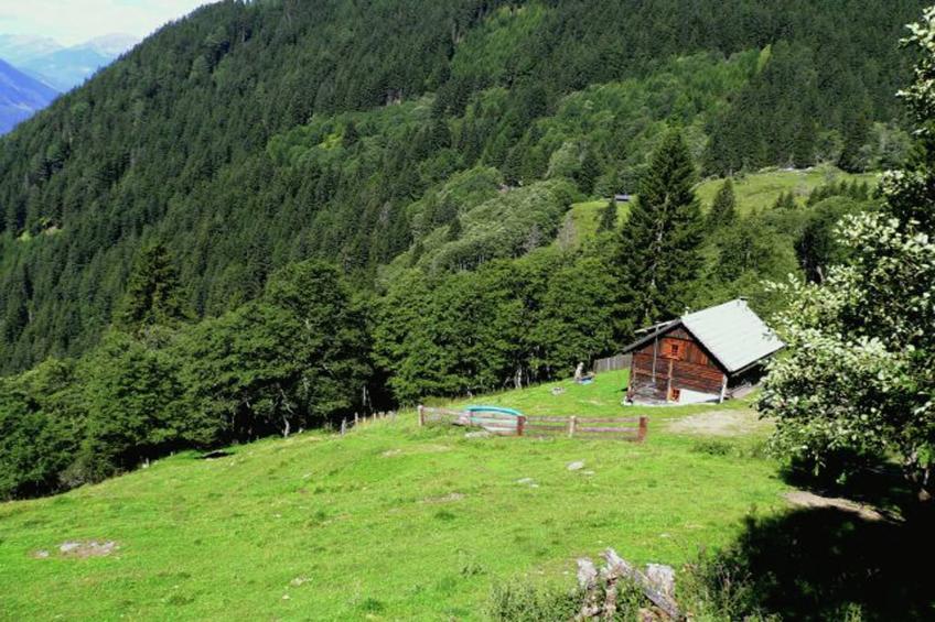 Unterhofer Alm - foto 8