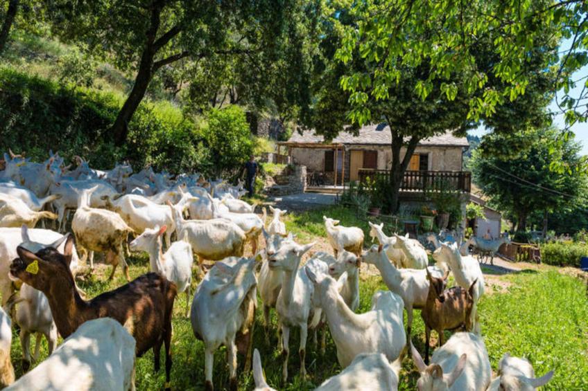 Gîte de France Gîtes de france 4/6 personnes à campéménard 2 épis - foto 15