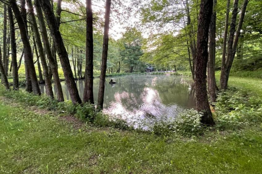 Brouwer Ferienhaus - foto 34