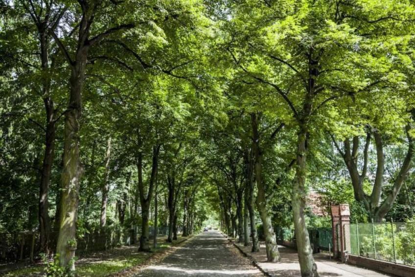 Haus am See - foto 20