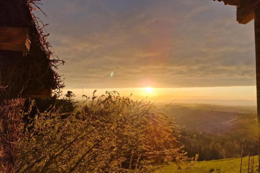 Wellness Oase - foto 23