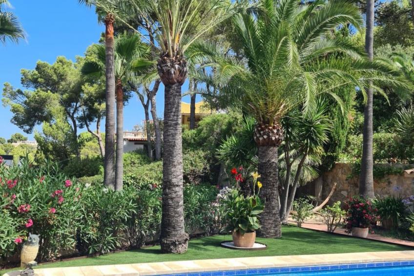 Casa Paradies - foto 11