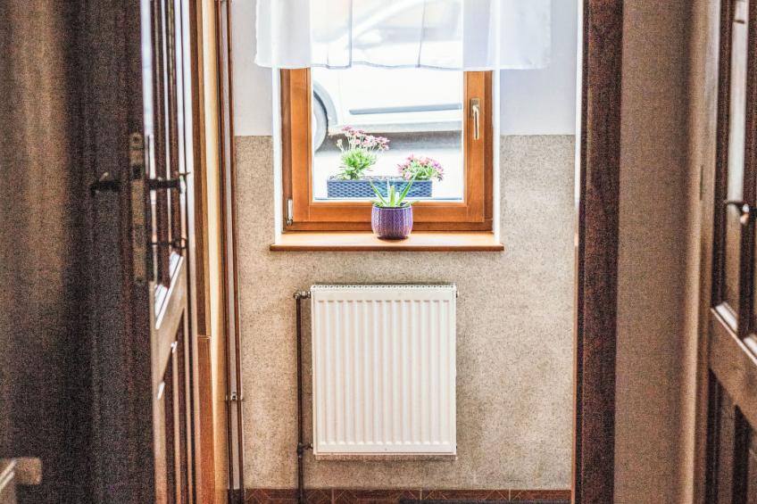 U Šenkýře Mikeše - foto 20