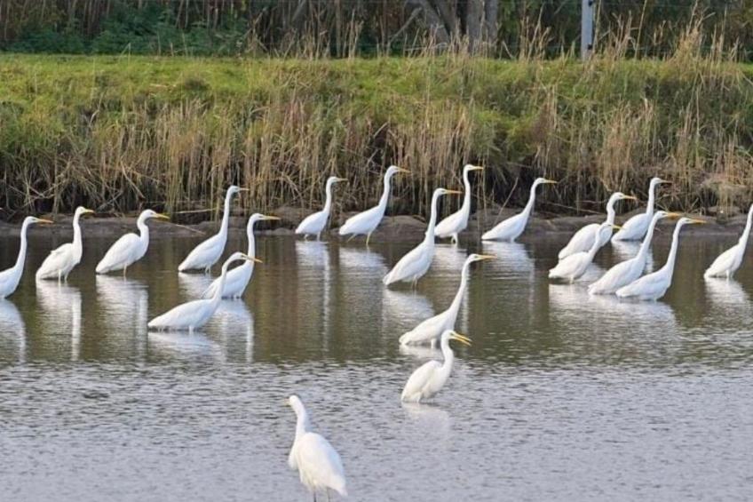 in Linum mit Garten, Terrasse und Grill - foto 20