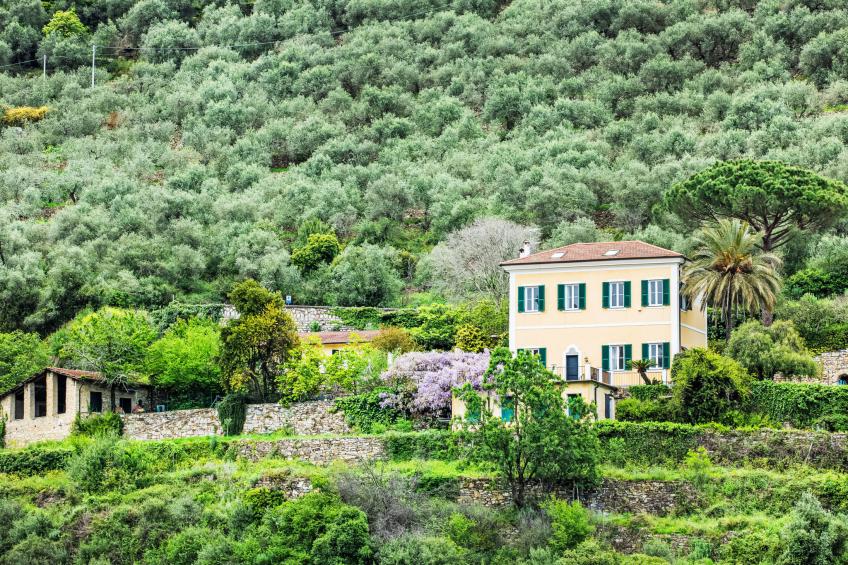 La Vigna - foto 6