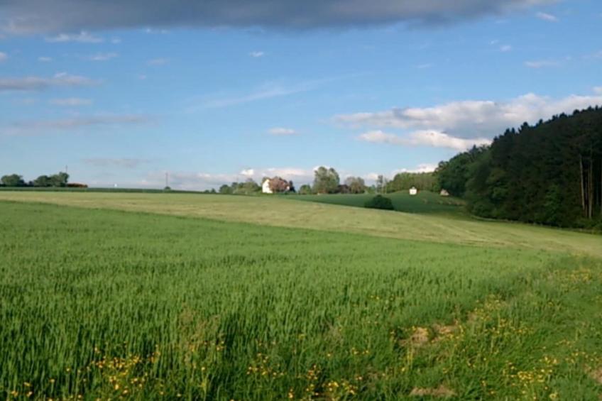 Fuchsbau Erdgeschoß - foto 15