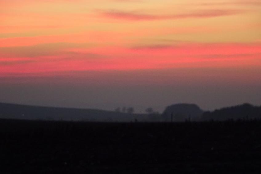 Sweet Home - foto 27