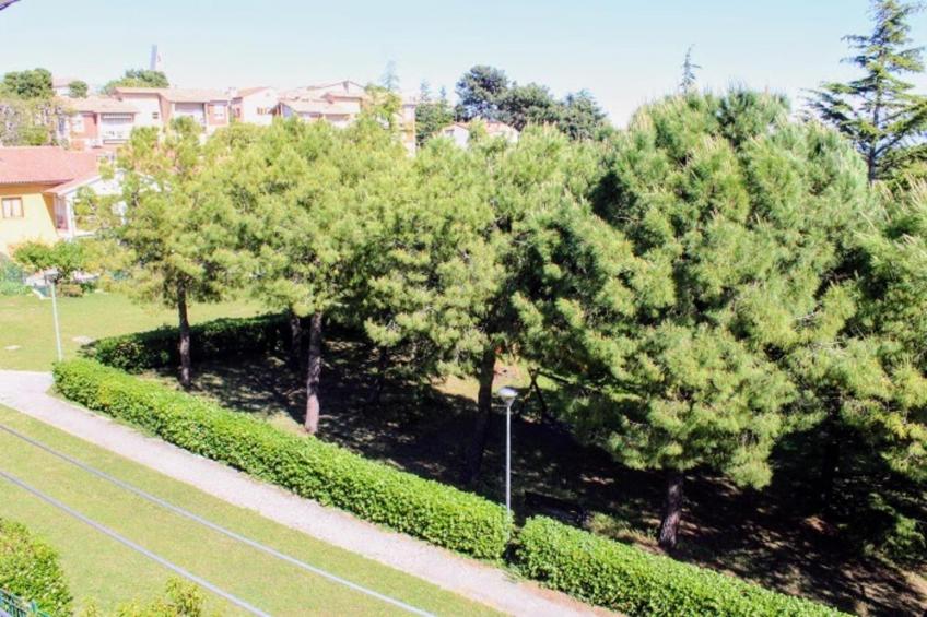 TRILO NOVELLA 2 - foto 19