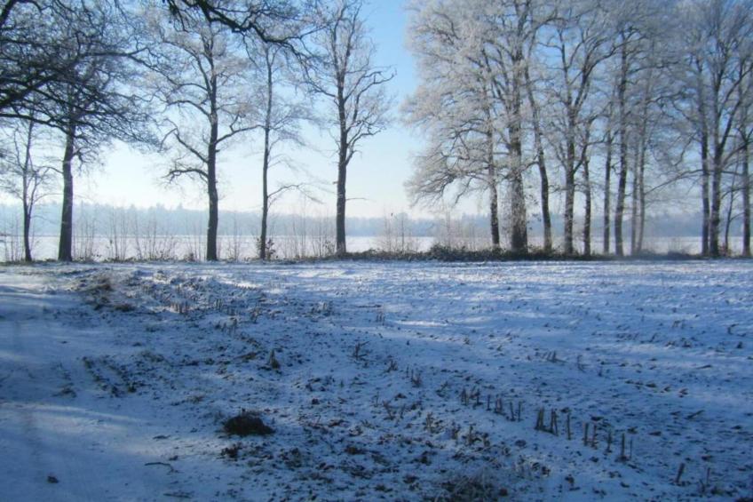 Koe in de Kost 2 - foto 31