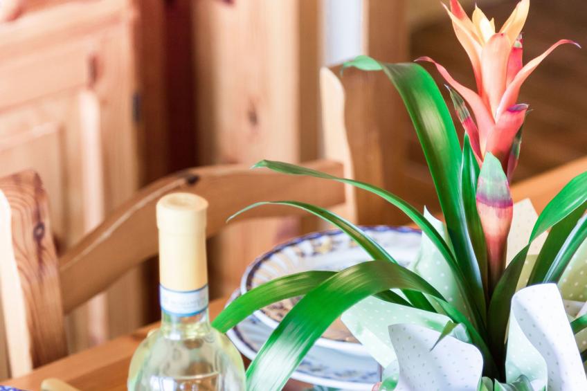 Bella Viesta - foto 15