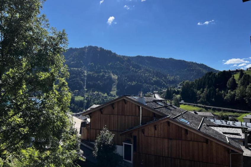 Appartements à La Clusaz - foto 12