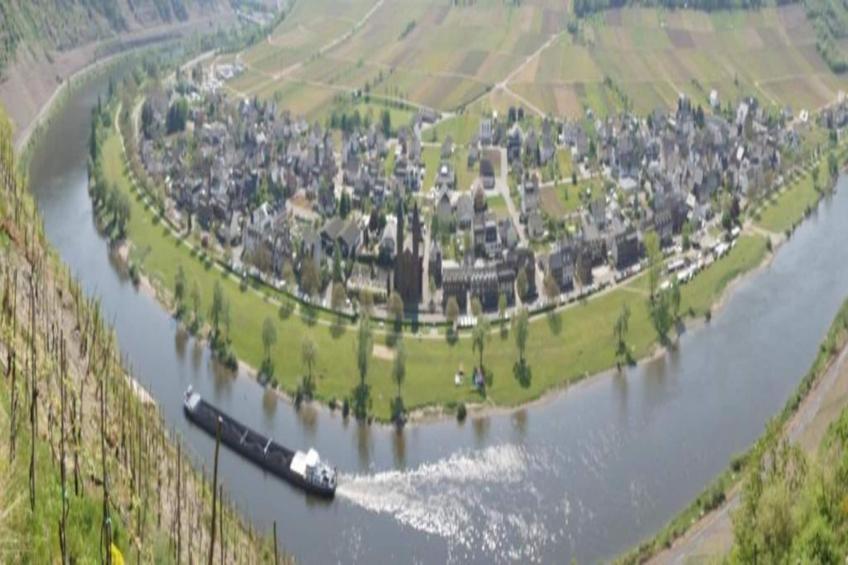 Weingut Hausmann - foto 39