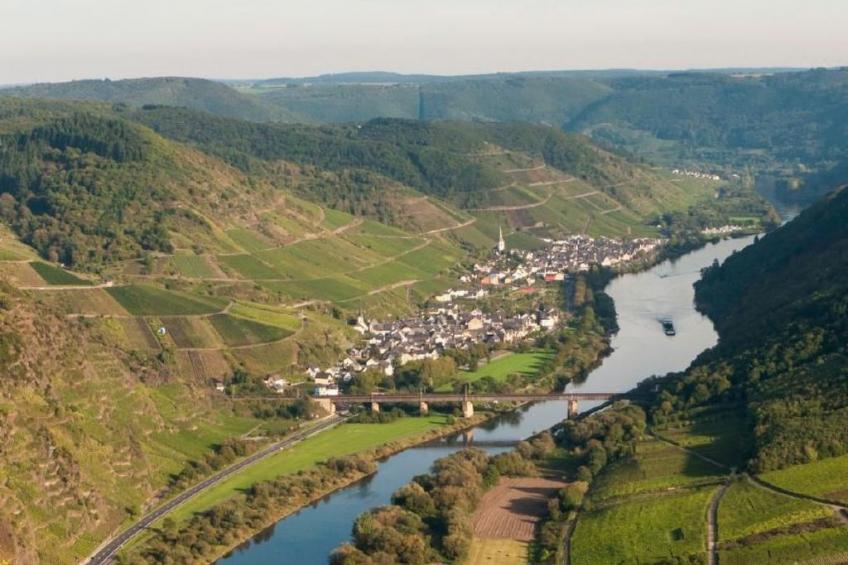 Perle-Lollipop - foto 34