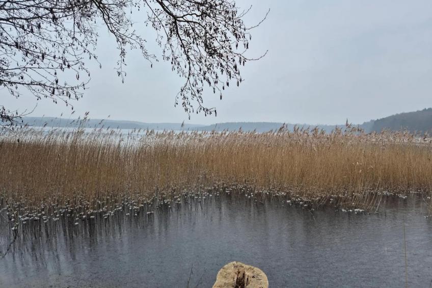 Ferienwohnung Weitblick - foto 20