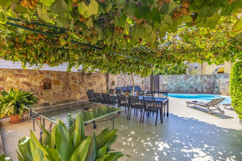 Villa Mimoza - foto 23