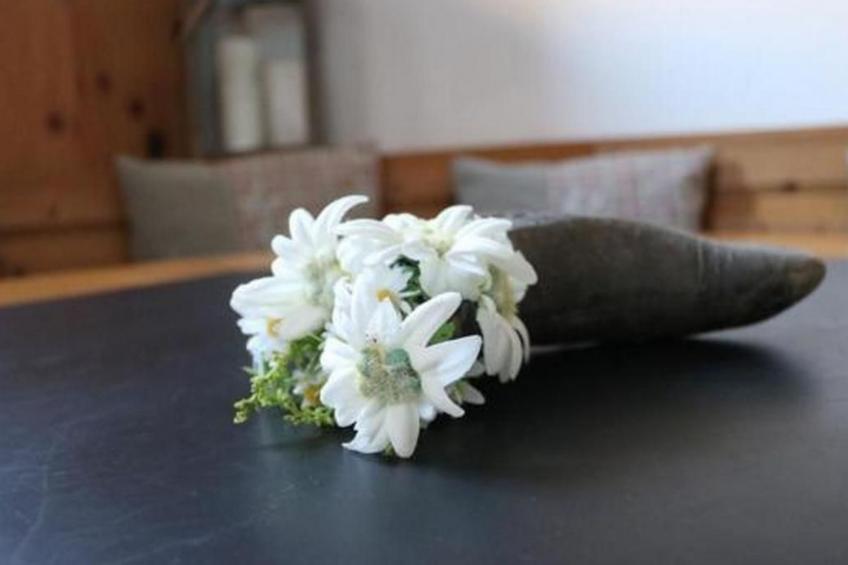 Bellavista B - foto 8