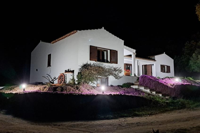 La Suara Manna - foto 14