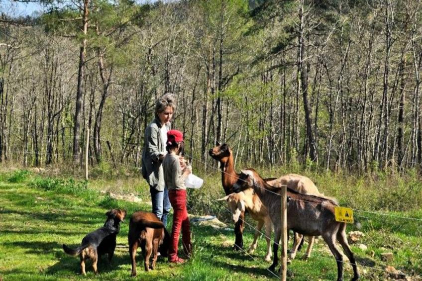 Domaine des Bories - foto 17