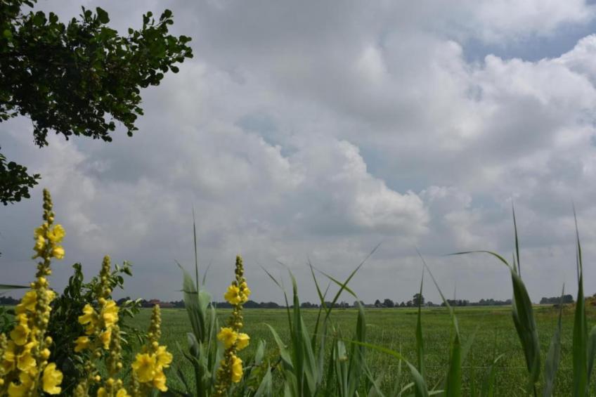 Friese Meren Villa's 12 - foto 26