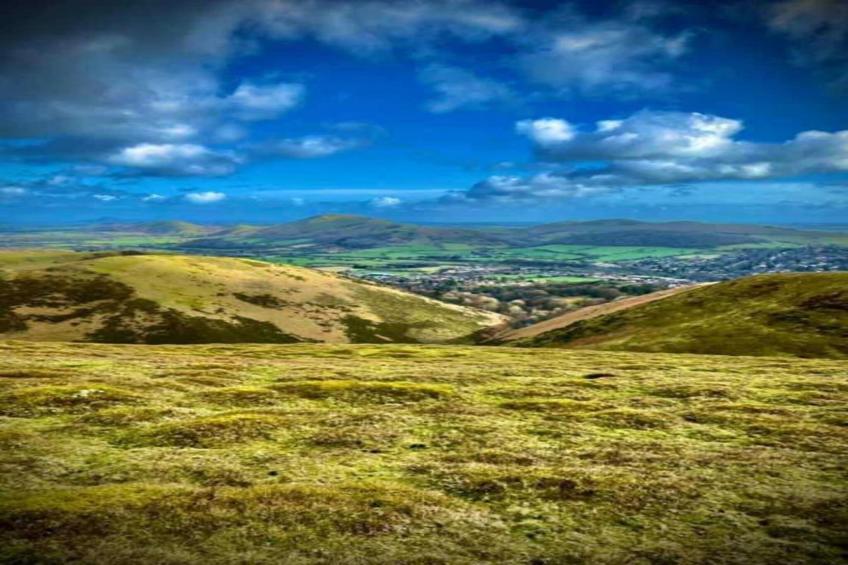 Netley Hall - Rose - foto 33