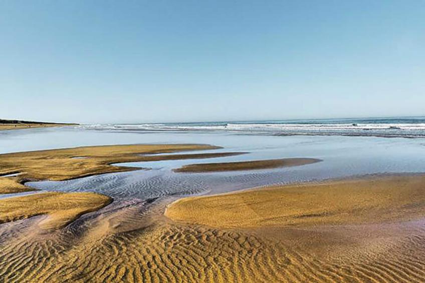 Maison à Brem-sur-Mer - foto 22