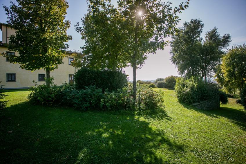 Leopoldina - foto 38