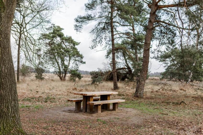 Dorpswoning Het Jagershuis - foto 32