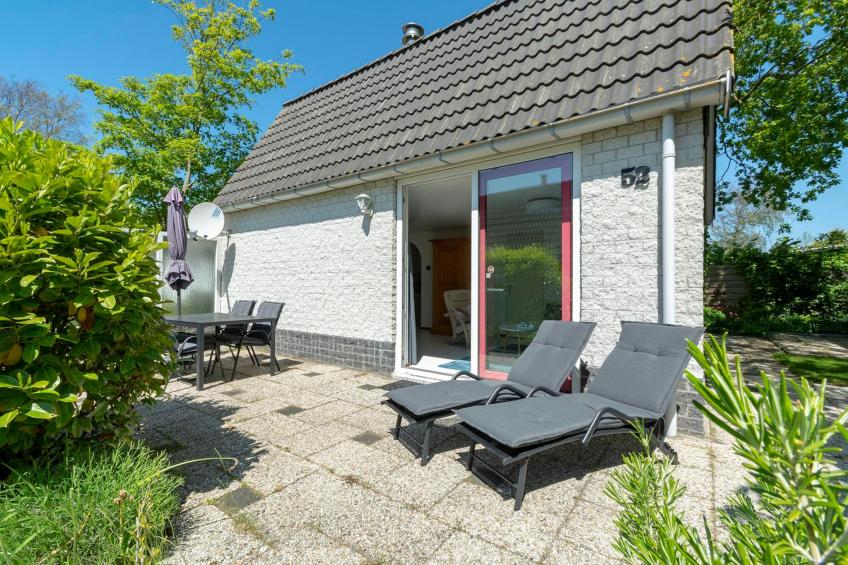 Campanula 52 - foto 26