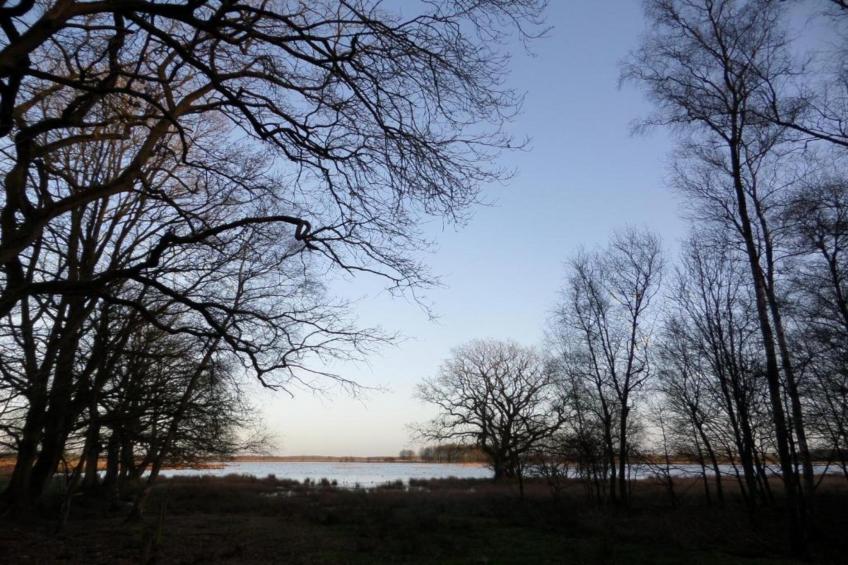 De Drentsche Patrijs - foto 31