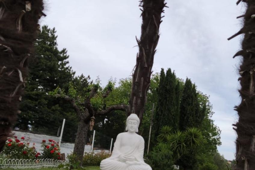 'Dear Peace on the Hill - foto 10