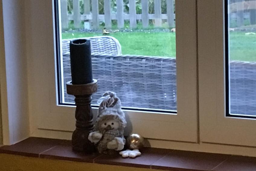 Windekind mit Blick auf die Felder - foto 45