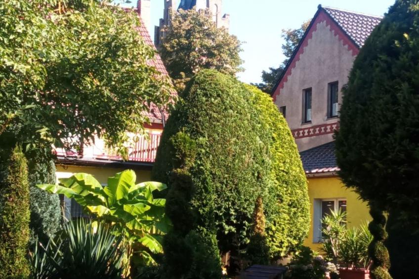 Gemütliche Wohnung mit Terrasse - foto 22