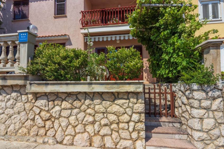 Agava mali / HR-11139-01 - foto 3