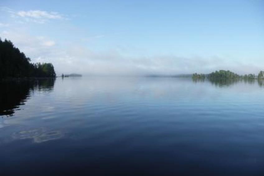 Lokki - foto 10