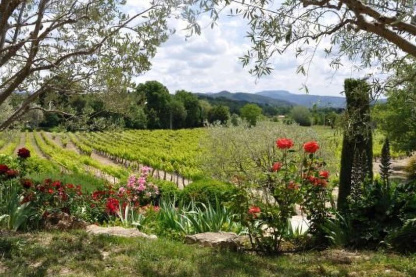 FERIENHAUS, FERIENHAUS "MAISON DE LAVANDE" (LAVENDELHAUS) - foto 21