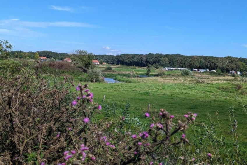 Vakantie bij Meeussen - foto 29