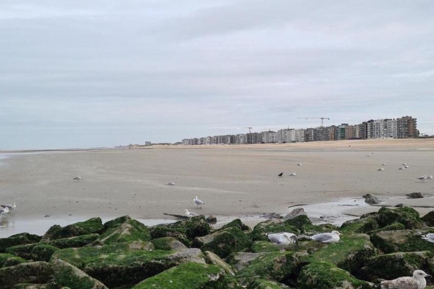 Dynastie - 0203 - foto 35