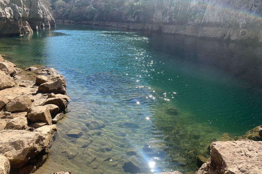 La Finca OliveTree - foto 44