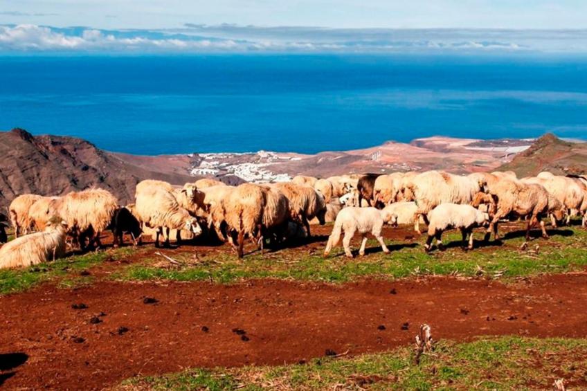 Landhaus "La Cabaña" mit Privatparkplatz - foto 30