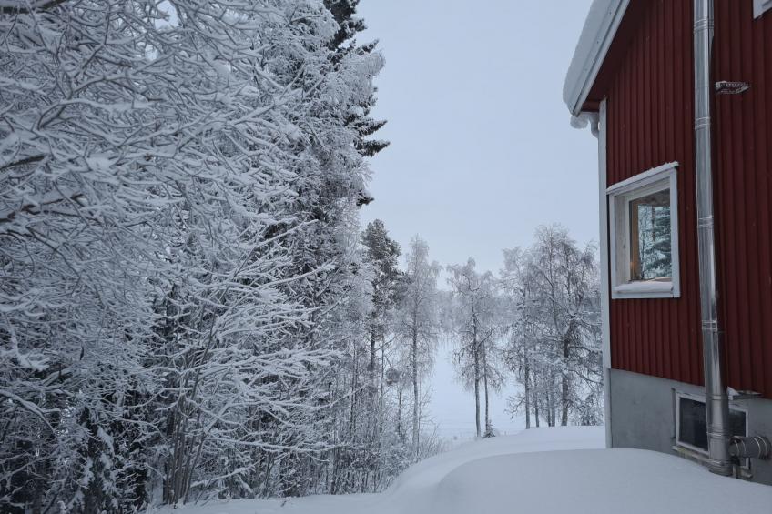 Haus-Lappland - foto 22