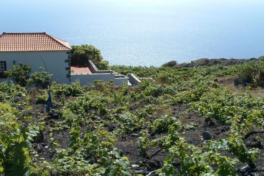 mit Garten und wunderbarer Aussicht - foto 38