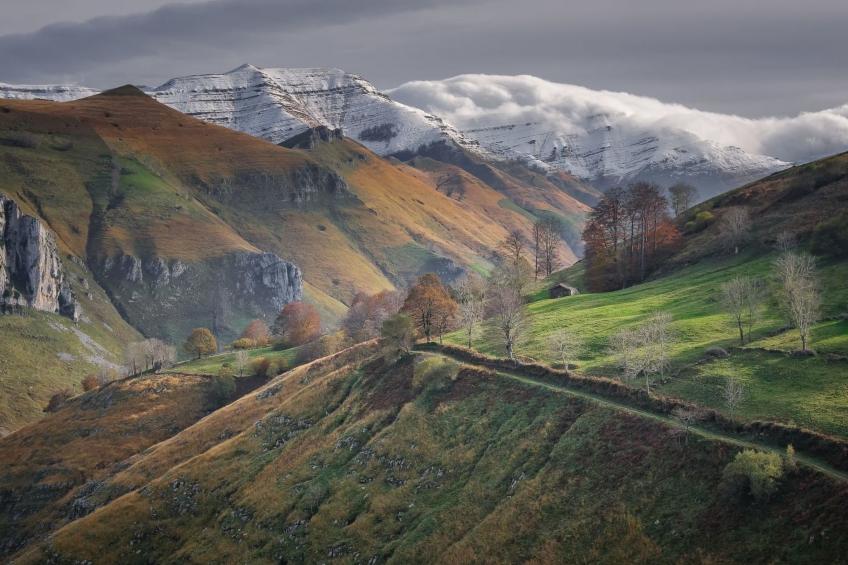 Fachwerkhaus mit Garten - foto 34