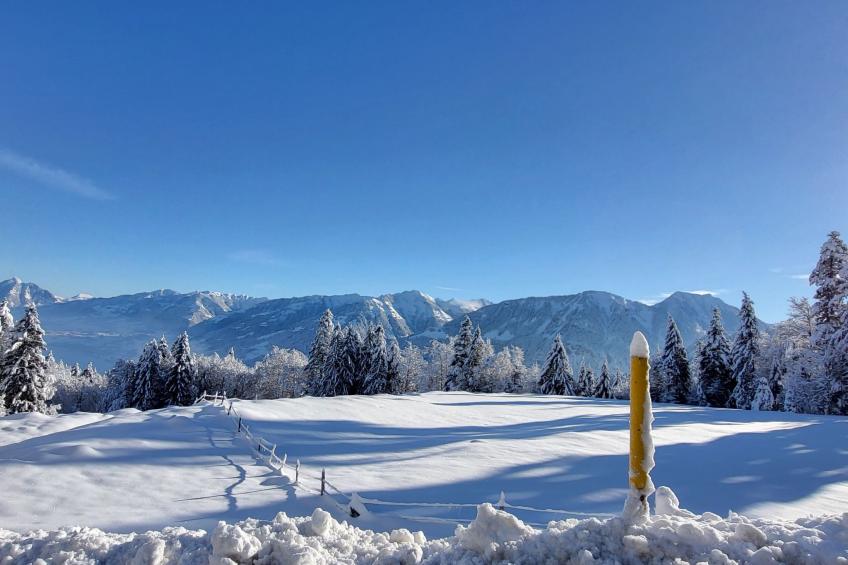 Fewo Pistenblick - foto 13