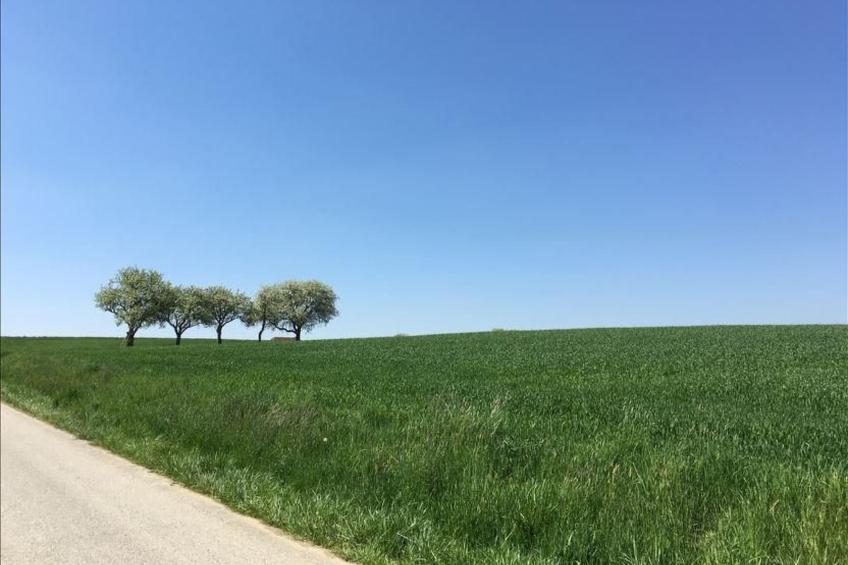 Thermen Apartment - foto 40