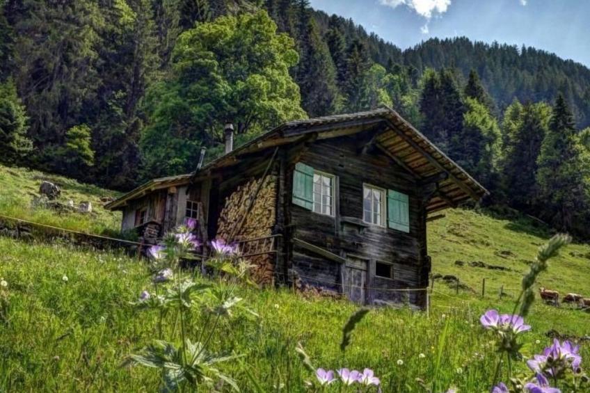 Kirschbaumhütte - foto 2