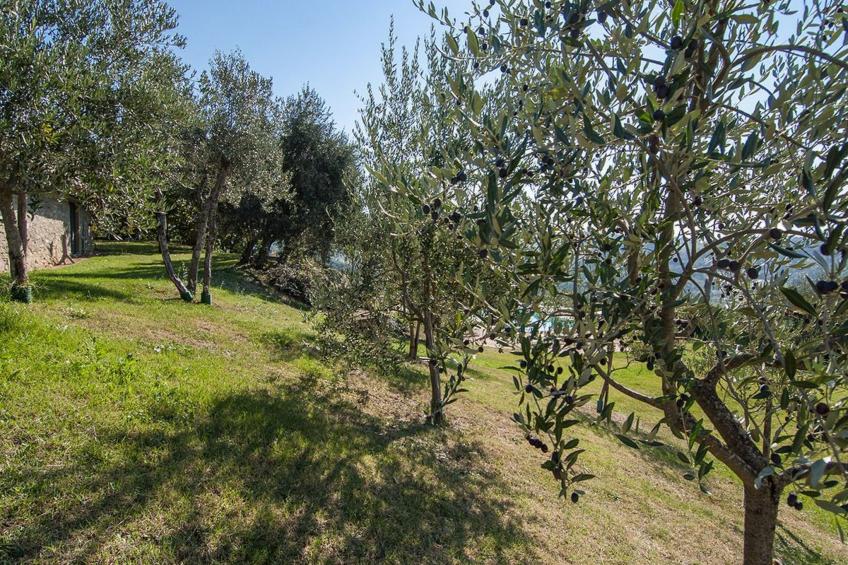 Lindenhaussiedlung mit Gemeinschaftspool - foto 42